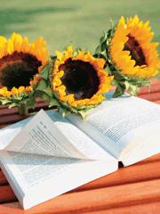 ���������������½��б�,����������ȫ���Ķ�