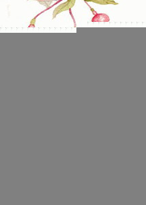 ������Ҷ����������½��б�,������Ҷ�����ȫ���Ķ�